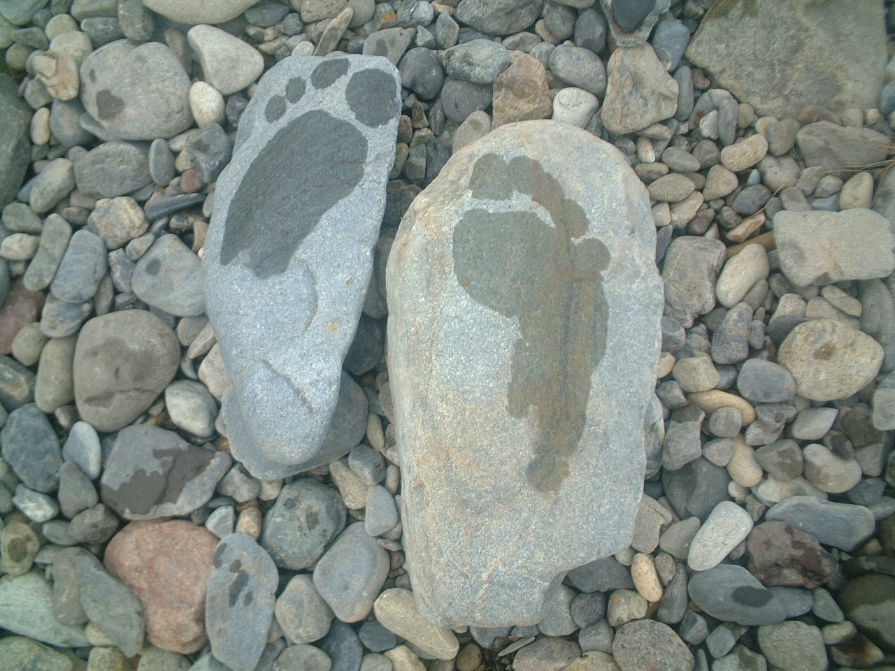 dscf0036.jpg
